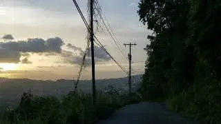 Sunset Avenue | Jamaica