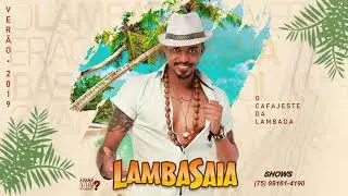 Lambasaia -  Perereca