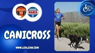 ENTREVISTA a ENRIQUE SOL&Iacute;S en Radio Marca sobre canicross, educaci&oacute;n canina, v&iacute;nculo y cursos.