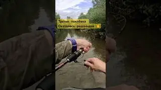 Два шанса - и третий решающий! 💥 Рыба засеклась 💪🎣