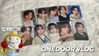 [원도어 브이로그] 포카를 또 샀어요 | 포카매입 • 태냐코 • 스티커 • 인형옷 • 반택깡