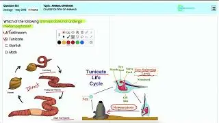 Classification of Animals - Overview of Animal Kingdom Phyla for NEET Zoology NEET 2018 Q133