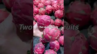 Что можно купить за 1 доллар в Китае? | Фрукты | Продукты в Китае 🇨🇳