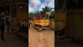 2Ton crawler dumper carrier transport oil palm in Africa
