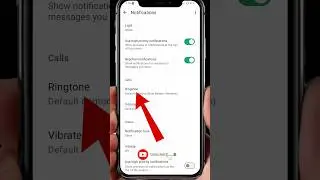 WhatsApp Me Ringtone Kaise Set Kare | How To Set Ringtone In WhatsApp #shorts #whatsapp