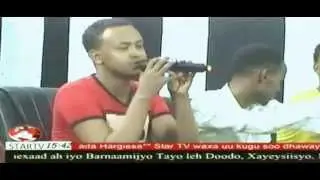 hallaasi
