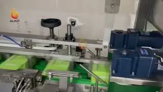 Solid Soap Bars Cartons Packaging Machine