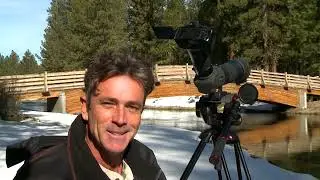 Birding with the Winter Wings Festival in Klamath Falls, Oregon