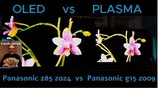 plasma vs. OLED  Amazing Panasonic Z85 OLED vs Plasma Two Great TV's!