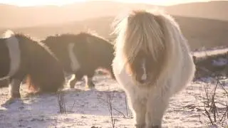 Five Winter Nichts - a poem in Shetland dialect