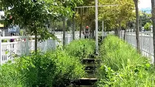 TIME LAPSE - 2 Days and 20 Transform a Ditch Full Of Weeds and Trash Back into its Original State
