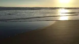 Black sand - big surf. Piha Beach