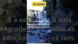 Gratidao  #meditation #relaxingmusic #relaxingsounds #gratitude #gratid&atilde;o #naturezaemfoco