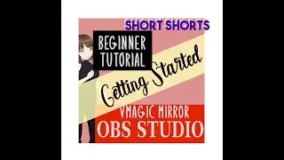 Getting Started Beginner tutorial Vmagic mirror and OBS Studio