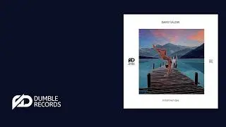 David Salow - Fitspiration (Original mix) - DBR003