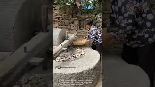 This Ancient Mill Grinds Without Electricity &ndash; Pure Village Power