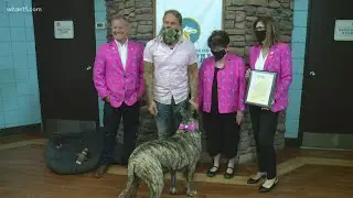 Ethan the dog honored as Compassion Ambassador