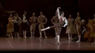 Don Quixote | Studio to Stage