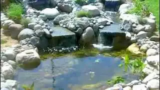 Enviroscape LA ProEco Koi Pond and Waterfall Manhattan Beach