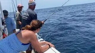 Blackfin Tuna   Fishing Mexico Beach Florida