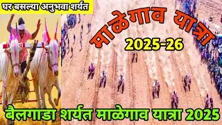 Malegaon Yatra 2025-26|बैल गाडा शर्यत माळेगाव यात्रा २०२५-२६|शंकर पट माळेगाव यात्रा २०२५-२६