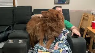 Zoey Is On The Couch Again!
