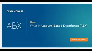 Demandbase: What is Account-Based Experience?(ABX)