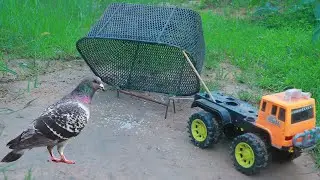 Outdoor Survival Traps: Simply Creative Idea and Unique Effective Bird Trap