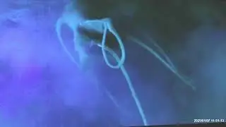 Dogora, the Space Monster appears in Fukuoka 2