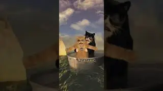 verzopen kat