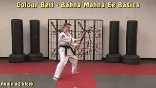 MAY/JUNE Colour Belt - BME Basics