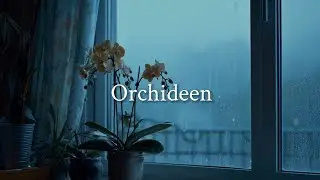 Katha Rosa - Orchideen (Official Lyric Video)
