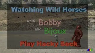 HyperLapse Horses while Bobby and Bijoux play Hacky Sack