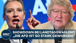 AFD: Showdown bei Landtagswahlen? Patzelt sieht strukturelle St&auml;rke der Partei