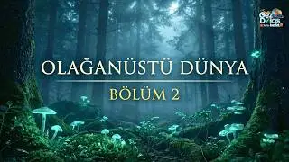 Olağanüstü Dünya :Yeryüzünün Görkemli Şaheserleri