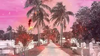 The Dopamines - Treatment Center Blues [Official Video/Visualizer]