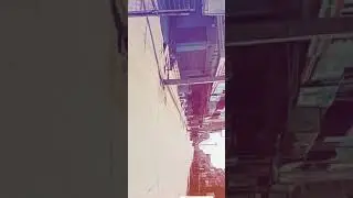 palvancha market lockdown
