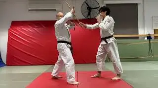 Stick fighting techniques