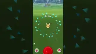 Catching XXS Dedenne