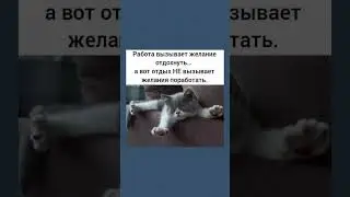 Принича не работать 🤣 #юмор #шуточное #мем #прикол #смехпродлеваетжизнь #смех #cat #shorts