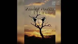 Bosveld vlakte-marmot