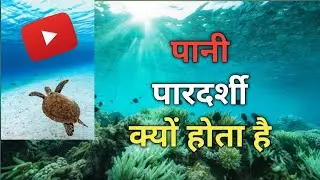 पानी पारदर्शी क्यों होता है? | Why Water Is Transparent | Science GK&rdquo; @top5things55 