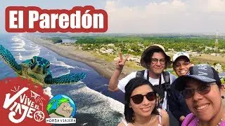 YOUTUBERS visitan El Paredón en GUATEMALA - SURF & Tour de tortugas en los manglares @Morsa Viajera