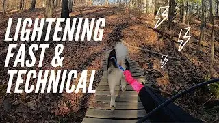 Challenging Bikejor Run with a Malamute