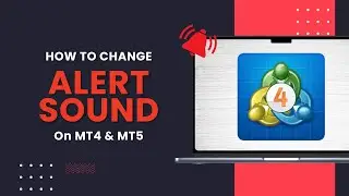 How to Change the MT4/MT5 Alert Sound | Remove MetaTrader Alert Sounds