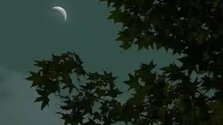 Fadel Chaker - Medley || Slowed + Reverb