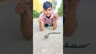 Akta remote control snake unboxing #toys ￼