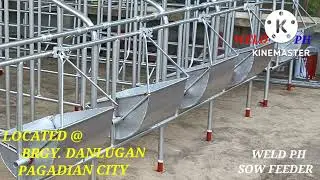 SOW FEEDER | PAKAINAN NG  INAHING BABOY