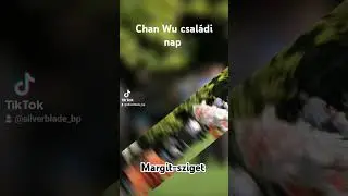 Silverblade - Chan Wu csal&aacute;di nap, 2024.09.08.  #kungfu #gongfu #shaolin #silverblade #chanwu