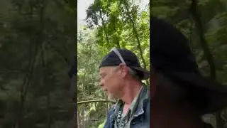 Devils millhopper, Alachua Florida.